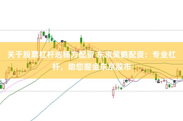 关于股票杠杆选杨方配资 东京策略配资：专业杠杆，助您掘金东京股市