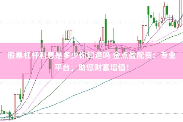 股票杠杆利息是多少你知道吗 金点盈配资:专业平台,助您财富增值!