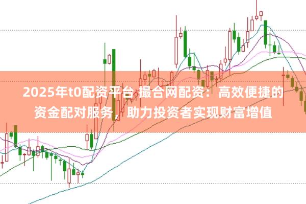 2025年t0配资平台 撮合网配资:高效便捷的资金配对服务,助力投资者实现财富增值