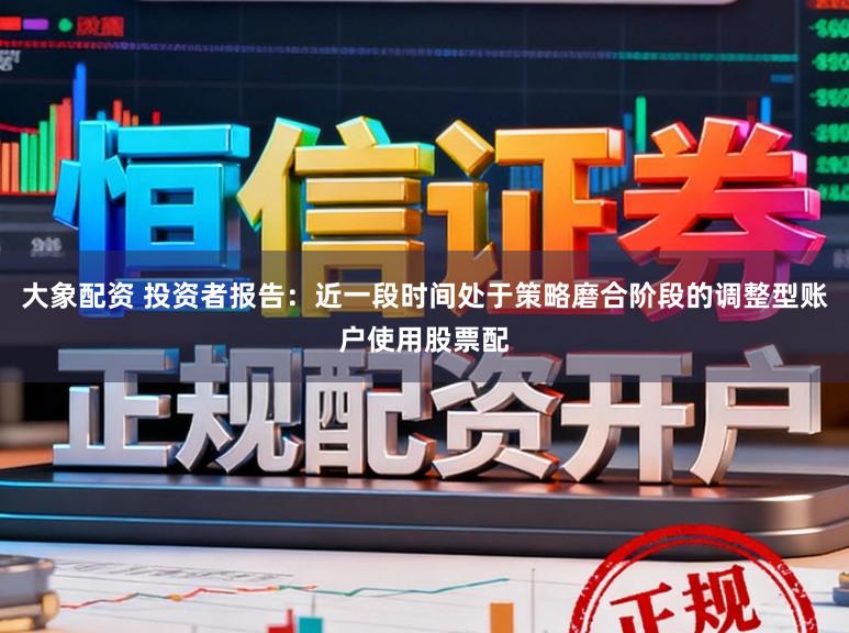 大象配资 投资者报告：近一段时间处于策略磨合阶段的调整型账户使用股票配
