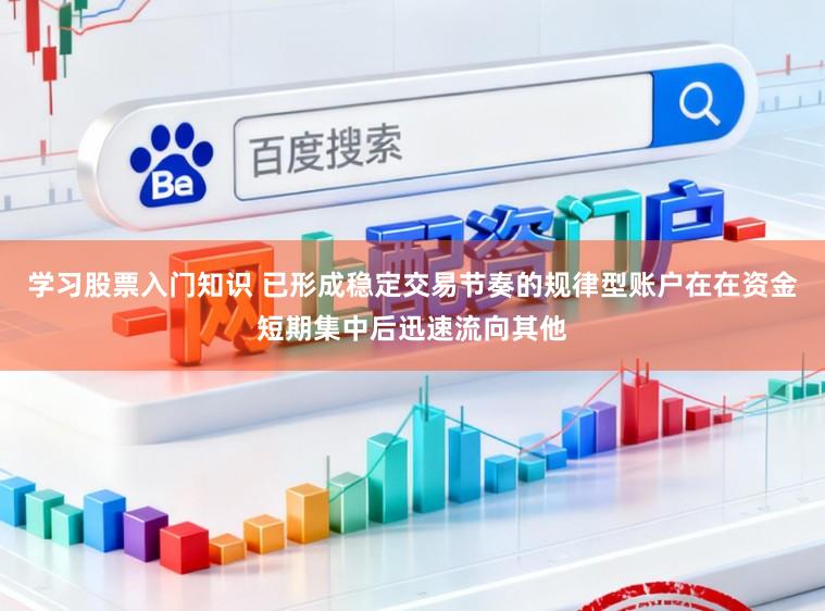 学习股票入门知识 已形成稳定交易节奏的规律型账户在在资金短期集中后迅速流向其他