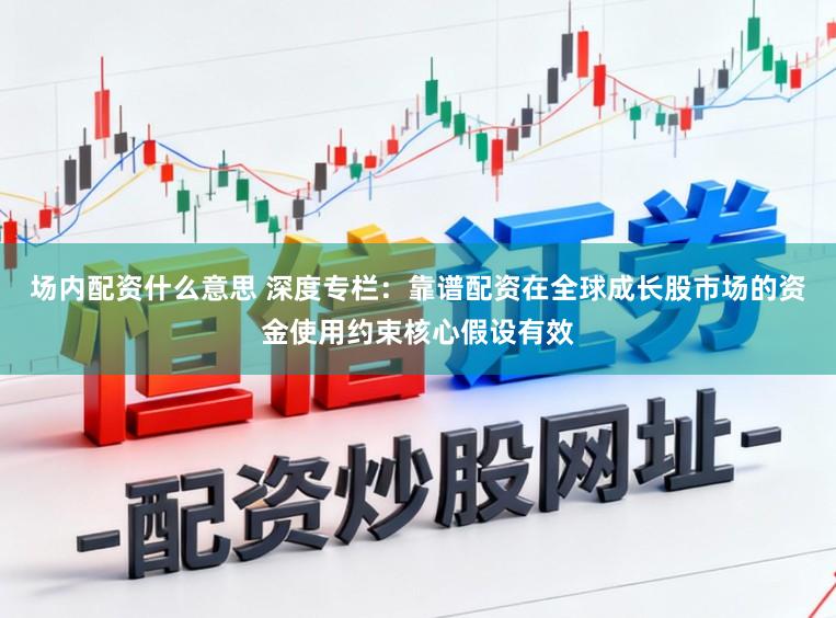 场内配资什么意思 深度专栏：靠谱配资在全球成长股市场的资金使用约束核心假设有效
