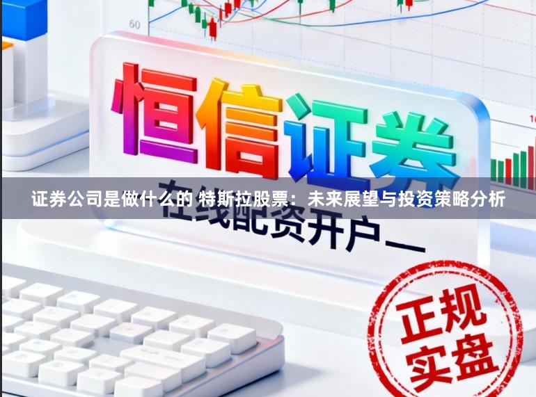 证券公司是做什么的 特斯拉股票：未来展望与投资策略分析